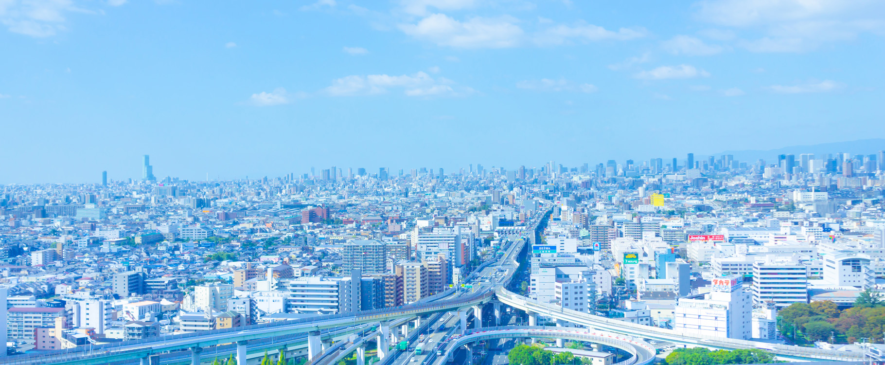 高台から見た街並みと広がる青空